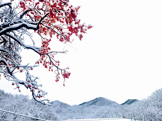 d2318d2e4376fa6aa981dd9117c43526_wangyw5b130_b.jpg d2318d2e4376fa6aa981dd9117c43526_wangyw5b130_b.jpg