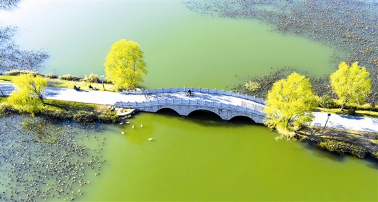 76b0b3b48941d7bc666b0a31aa8db5e9_liangry5b242_b.jpg 76b0b3b48941d7bc666b0a31aa8db5e9_liangry5b242_b.jpg