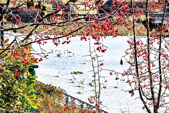 edce5703db1baea7e3961add7339e52e_wangyw5b203_b.jpg edce5703db1baea7e3961add7339e52e_wangyw5b203_b.jpg