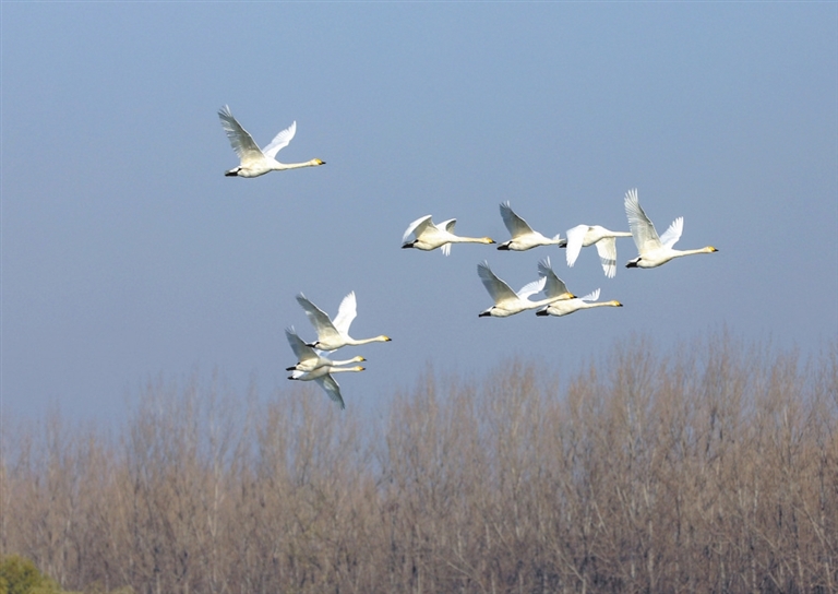 42fb94fecef7fa8e5fc1c520d910b4e8_lfrb1202001_005_01_s.jpg 42fb94fecef7fa8e5fc1c520d910b4e8_lfrb1202001_005_01_s.jpg